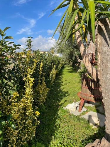Casa Vacanze Paradise