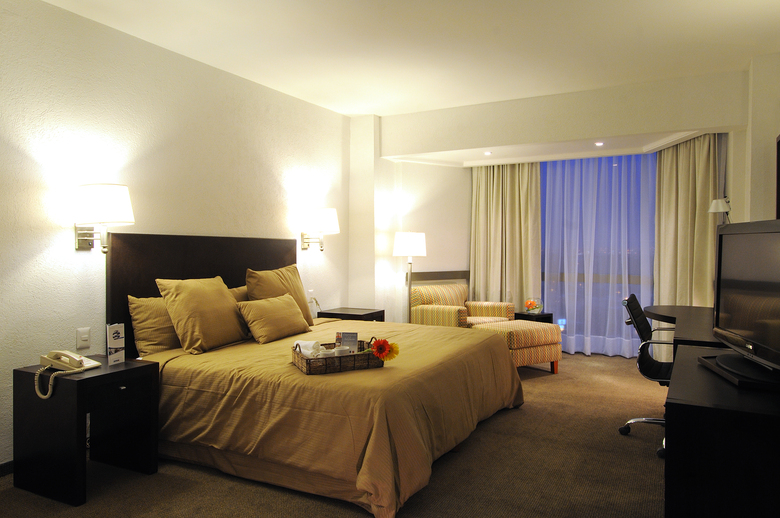 Hotel Mision Torreon