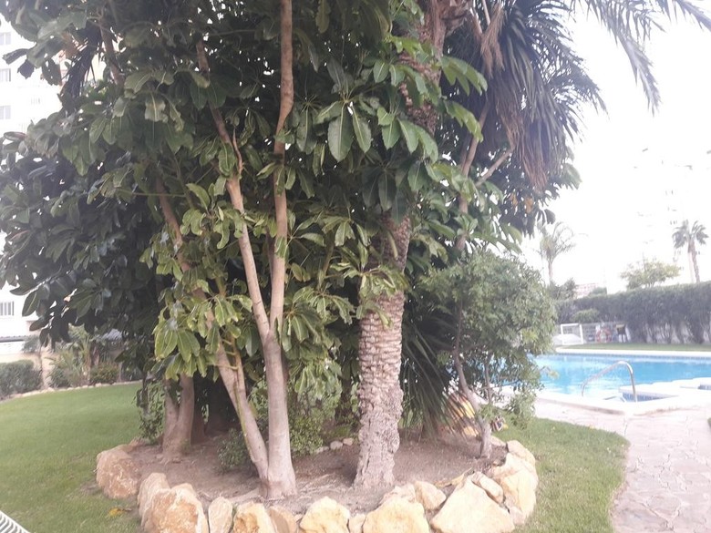 Apartamento Torre San Jordi