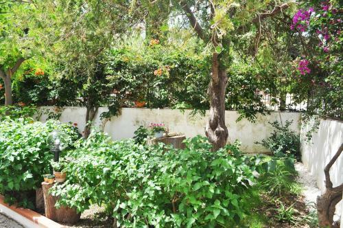 Villa Bonagia Cottage