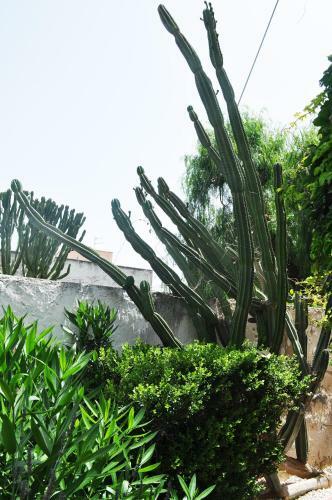 Villa Bonagia Cottage