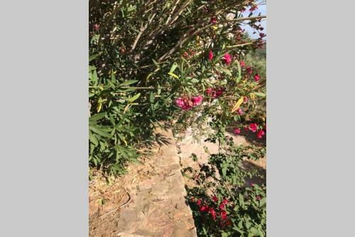 Appartamento In Villa Con Vista Panoramica