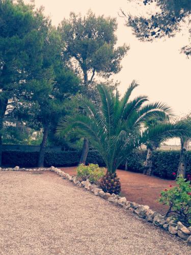 Apartamento Casa Andromeda