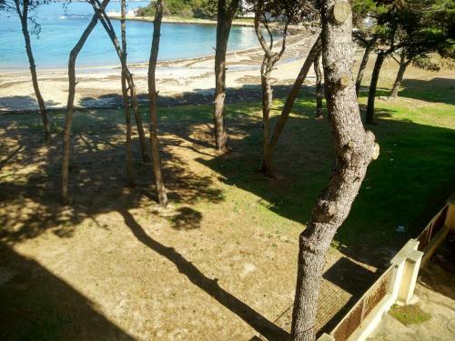 Apartamento Frontemare Carlo