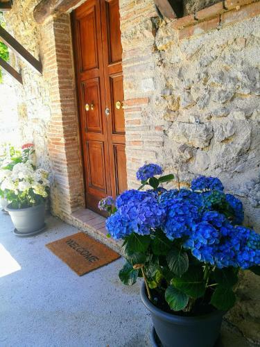 Apartamento La Rocchetta