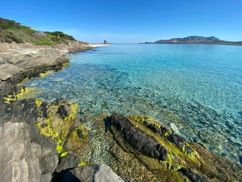 Apartamento All'ombra Dei Pini - Casa Vacanze