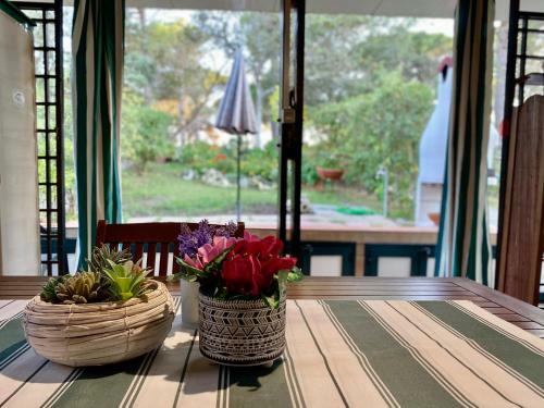 Apartamento All'ombra Dei Pini - Casa Vacanze