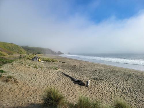 New Sea-renity Wide Ocean Views, Fireplace And Spa