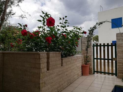 Apartamento Villino Blue Bay Baia Verde