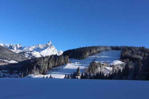 Apartamento Appartement Berglerhof