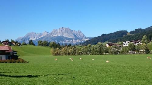 Agroturismo Bio-bauernhof Niederlehen