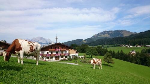 Agroturismo Bio-bauernhof Niederlehen