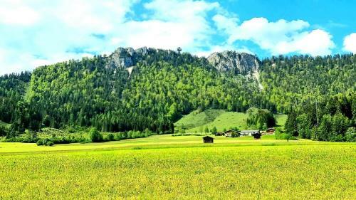Exclusive Villa Tirol
