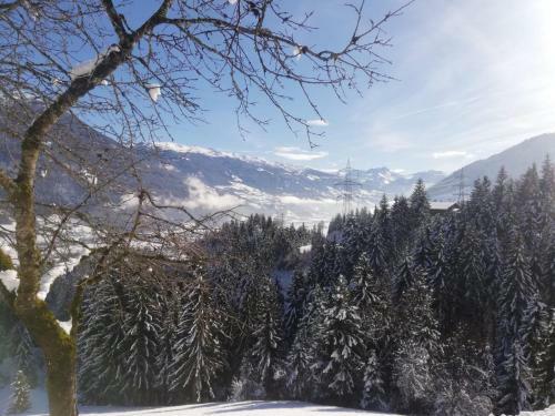 Apartamento Stockachhof