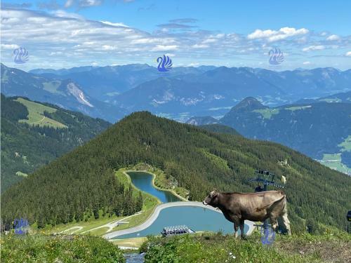 Apartamento Royal Swan Appartement, Tirol