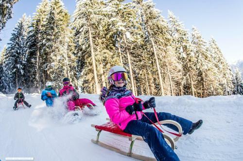 Apartamento Royal Swan Appartement, Tirol