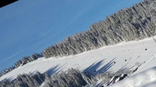 Bed & Breakfast Ferienhaus Gabi Oberreiter