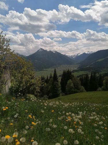 Ferienhaus Weitblick