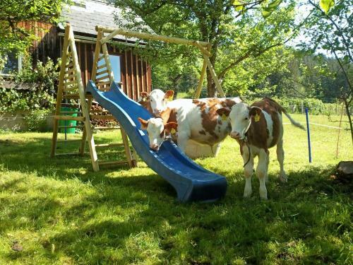 Apartamento Ferienwohnungen Seraphine Und Theresia