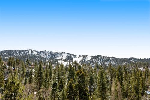 Bear View Lodge