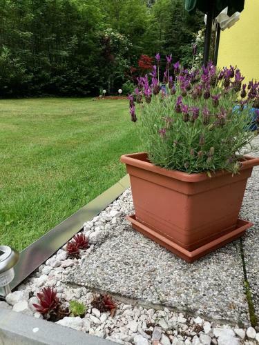 Haus Waldbach