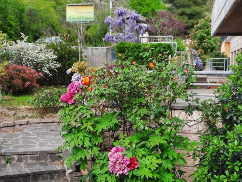 Agroturismo Fiori Del Conero