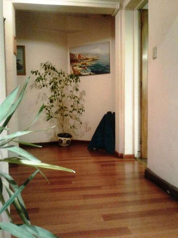 Hotel Millaray