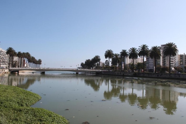 Apartamento Vi�a Del Mar Rapa Nui