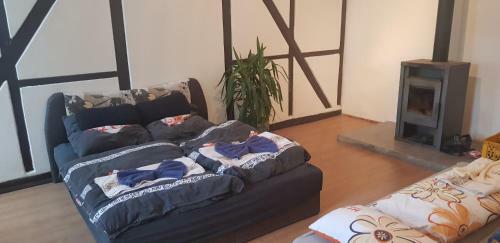 Apartm�n N�m?st� 2