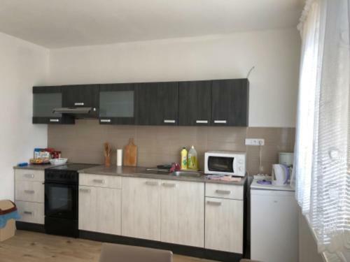 Apartm�ny Eva Frymburk