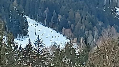 Hostal Veghouse - Penzion U Pl�?e
