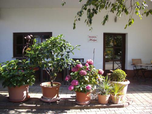 Hostal Pension Helga