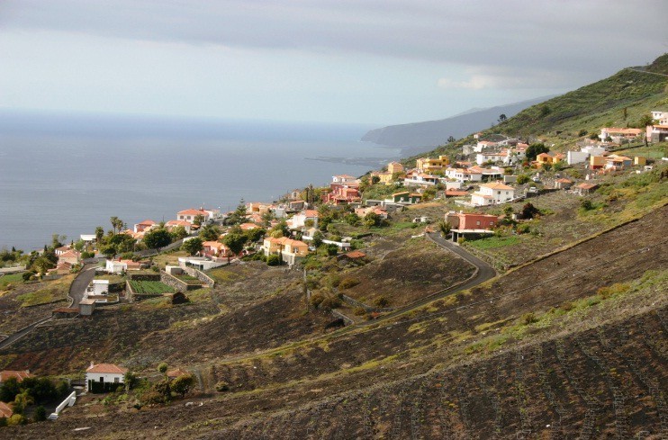 Apartamentos Y Bungalows Finca Col�n