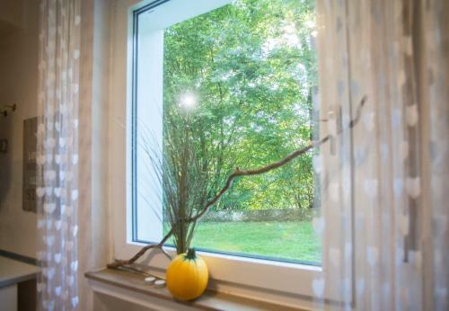 Apartamentos Ferienwohnung First Bismarck