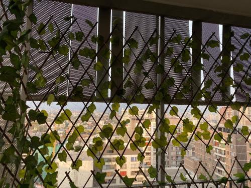 Habitaci�n Con Ba�o Privado. En Depto Compartido.