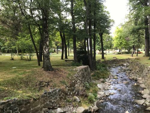 Apartamento Waldblick - Bad Harzburg