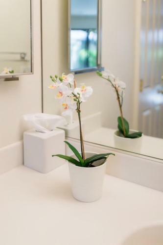 Apartamento Amazing Stay In Silverado With Self-check-in