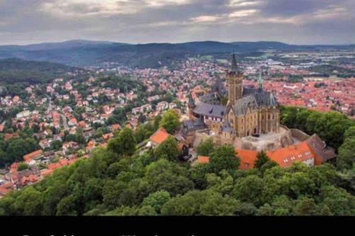 Apartamento Bezaubernde Fewo Harzgipfel Mit Dampfdusche