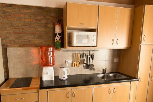 Apartamento Loft Irigoyen 140