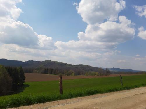 Apartamento Fewo Schiffner