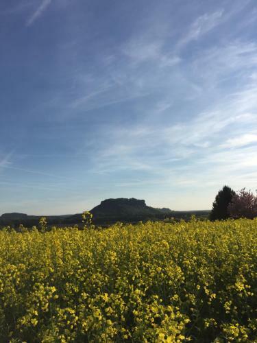 Apartamento Fewo Schiffner