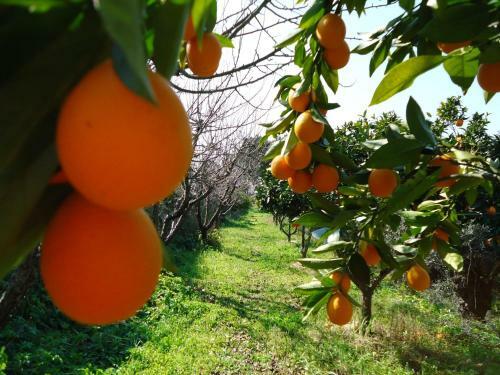 Bed & Breakfast Montes de Charme (Al 6288)