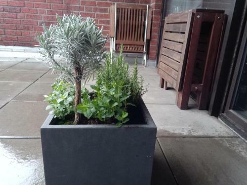 Apartamento Pier 213