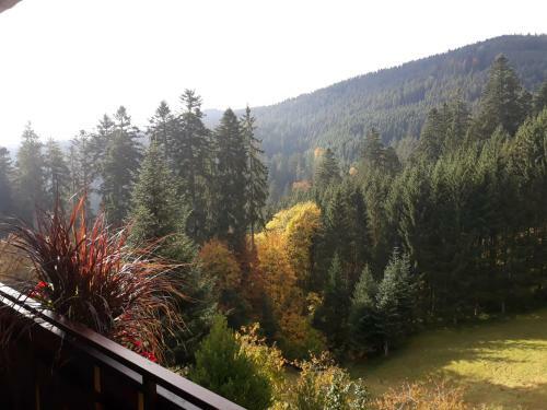 Hostal Landhaus Waldesh�he