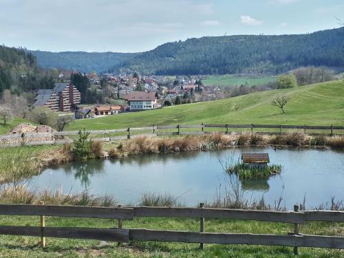 Apartamento Haus Schwarzwaldgrund