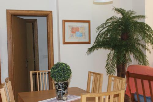 Apartamento Filipe�s House