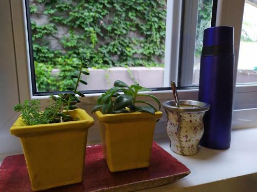 Apartamento Doble Matrimonial, Monoambiente, 4to Piso Escalera