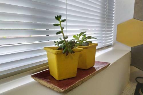 Apartamento Doble Matrimonial, Monoambiente, 4to Piso Escalera