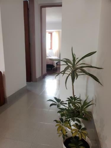 Apartamento Kusi Wasi