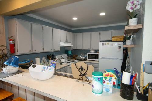 Mammoth Ski & Racquet Club #105 - Pet Friendly